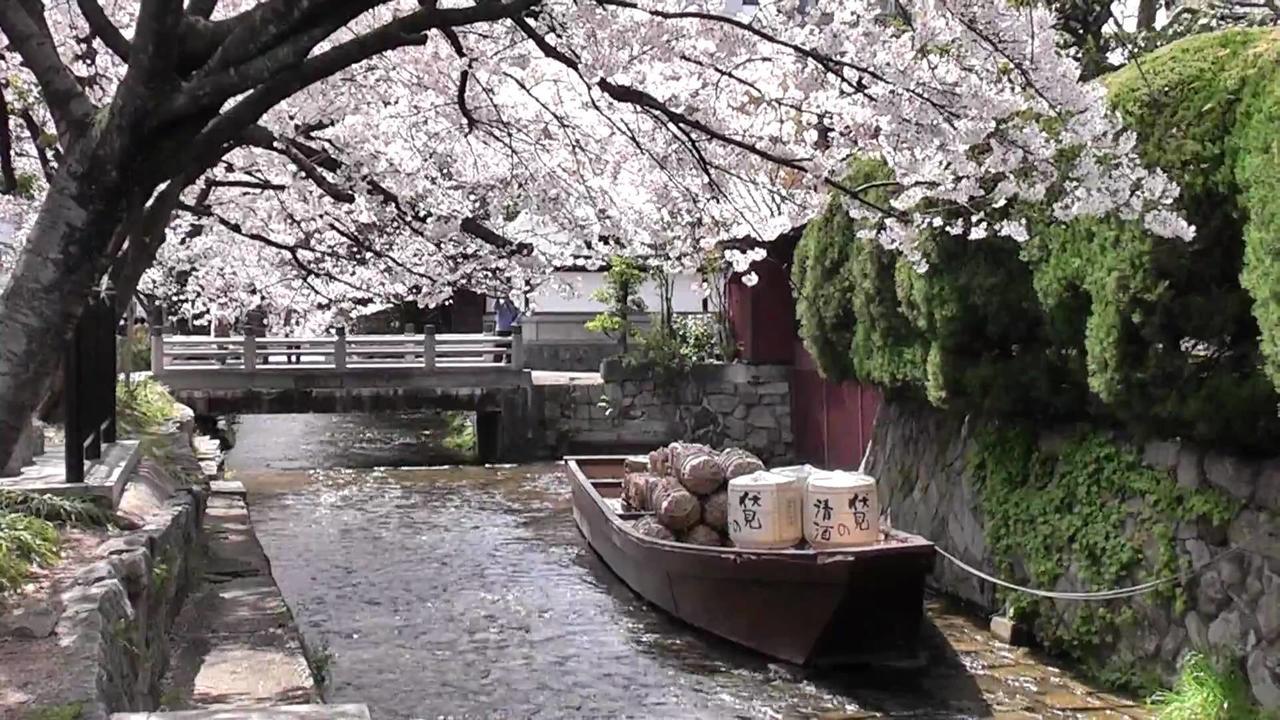 Guest house Miyabi